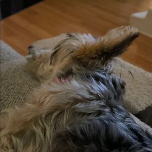 Meet your Posher, Linda